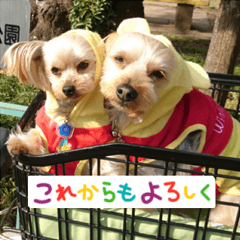 ラッキー＆リュウ