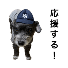 ぼくは文太くん。5