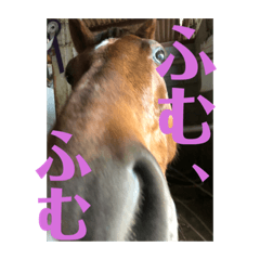 ドレッサーとその仲間たち☆その3