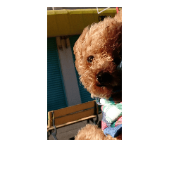 我が家の犬 -エ-