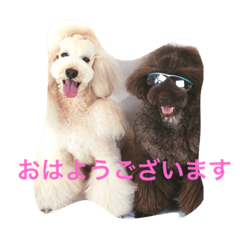 しあわせで〜すたんぷぅ