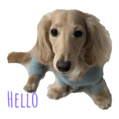 我が家のきなちゃん❤️