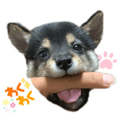 I LOVEくぅちゃん