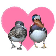 高知県立のいち動物園 ver.1