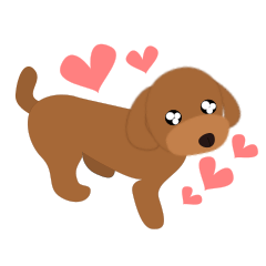 かわいいプードル♪