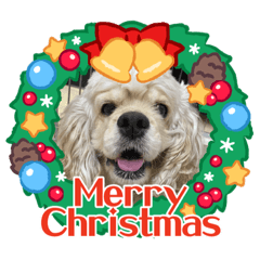 冬に使えるチェルシースタンプ