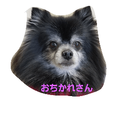 ちびーずの日常2