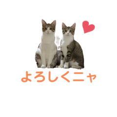 ユメネスハピネスご挨拶