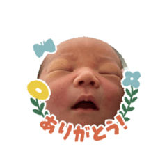 さくちんの日々