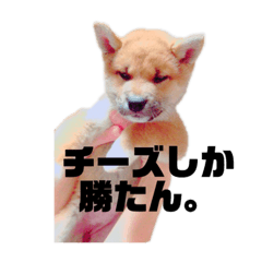 ラブリーハナのスタンプ2