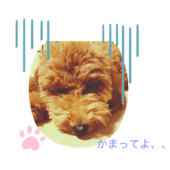 ぽぽ可愛いスタンプ