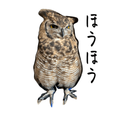 みんみんぜみのいきもの 2