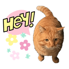 ちゃあちゃんstamp