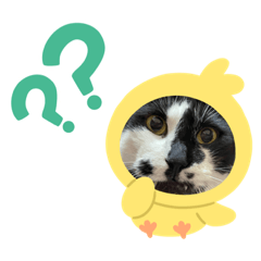 くぅ、ちぃ、きぃ