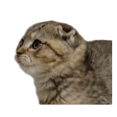 ちゃんぴえスタンプ6