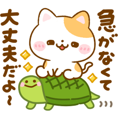 大人の思いやり♡ねこねこにゃんこ