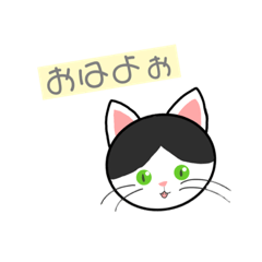 ハチワレ 白黒 ねこ(イラストver.)