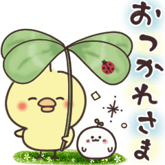 動く！まるいやつらとトリさん♩年中使える