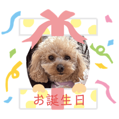 ルティミちゃんLINEスタンプ2