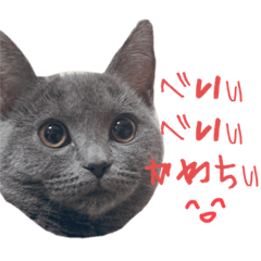 ぱおたんのごきげんスタンプ