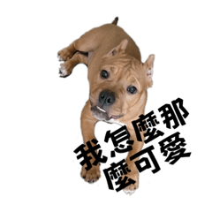 happy_20230521003322