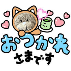 猫のニャン吉☆