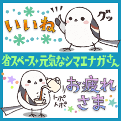 元気なシマエナガ＊毎日使える省スペース