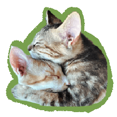 Frank&#39;s two cats