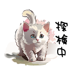 猫さんの＜近況報告＞