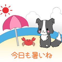 飛び出す！ちびボーダー15【夏】