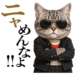 リアル猫ニャンキー