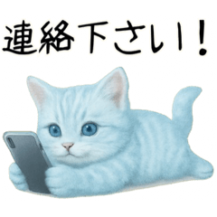 推し猫【青】….