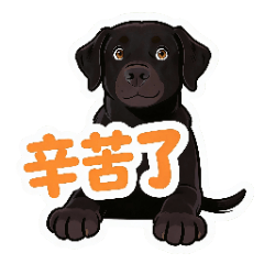 Black Dog Brother (2)