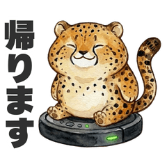 チーター：ちたおの「日常」