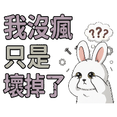 I'm not crazy, I'm just broken.