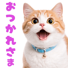 動く！猫のリアクション