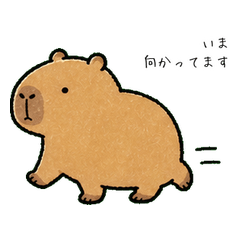 無事だけは伝えるカピバラ。【家族連絡】