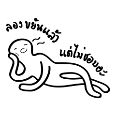 Nongngow Vol.8 | lazy daily