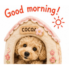 Daily Life Of Cocoa The Toy Poodle31