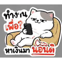Saowalak_20260613003027