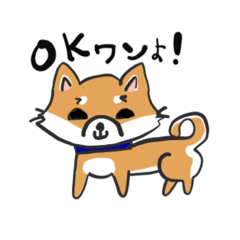 柴犬リリーちゃん