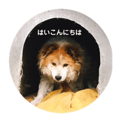 さくらさんのスタンプ