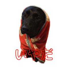 ラブラドールレトリバーのスタンプ①