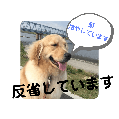 犬 大好き 敬語バージョン