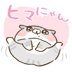 スコにゃん⭐️