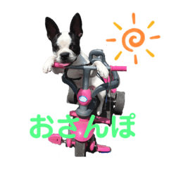 あんちゃんの休日その2