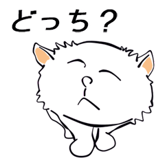 何、どうして、なぜ?