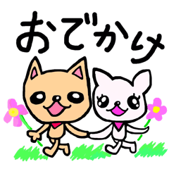 マメときな子のチワワな日常