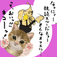 そんなオマエにまわし蹴り