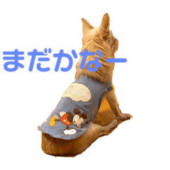 よつはくりん①